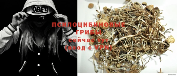 винт Анжеро-Судженск