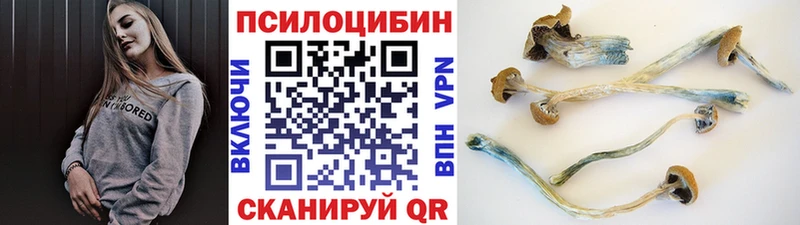 Псилоцибиновые грибы ЛСД  Геленджик 
