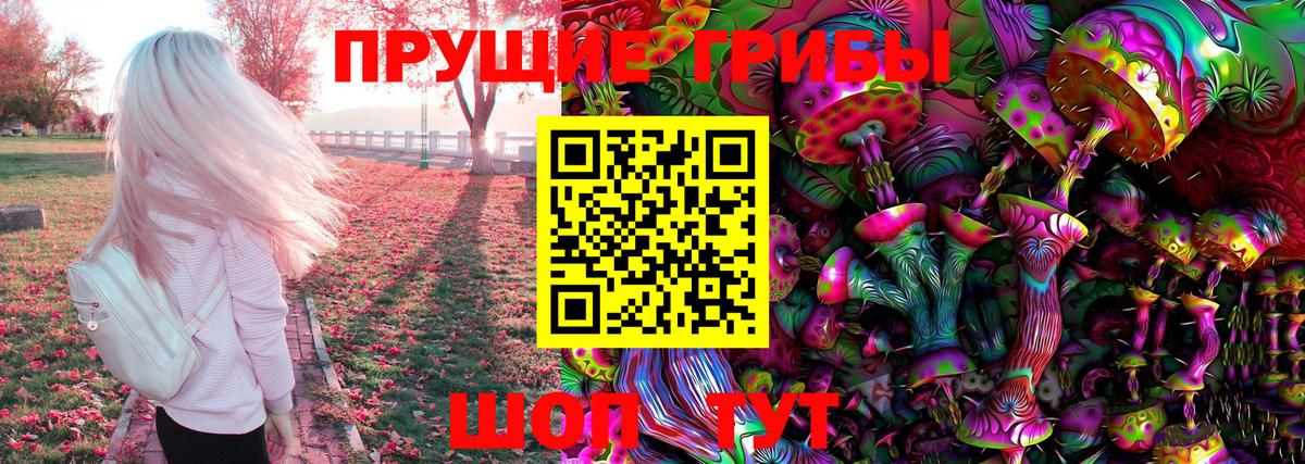 Галлюциногенные грибы Psilocybine cubensis Геленджик