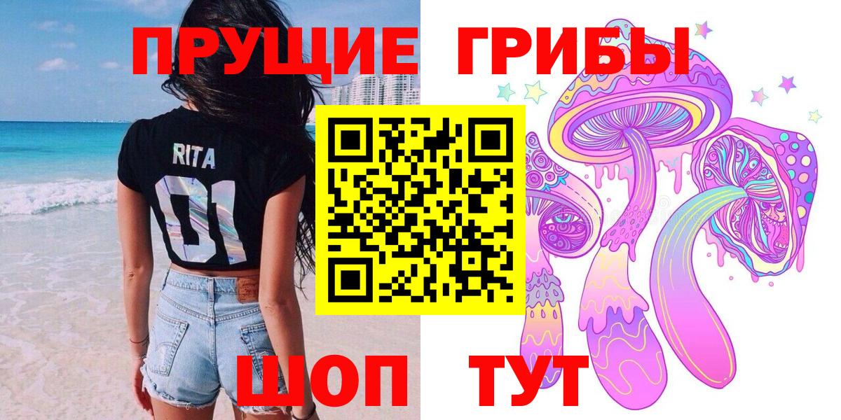 Псилоцибиновые грибы GOLDEN TEACHER  сколько стоит  Геленджик  Вход с VPN 
